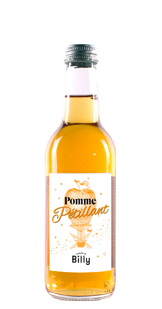 Jus de Pomme , Pétillant , 33cl (x12)